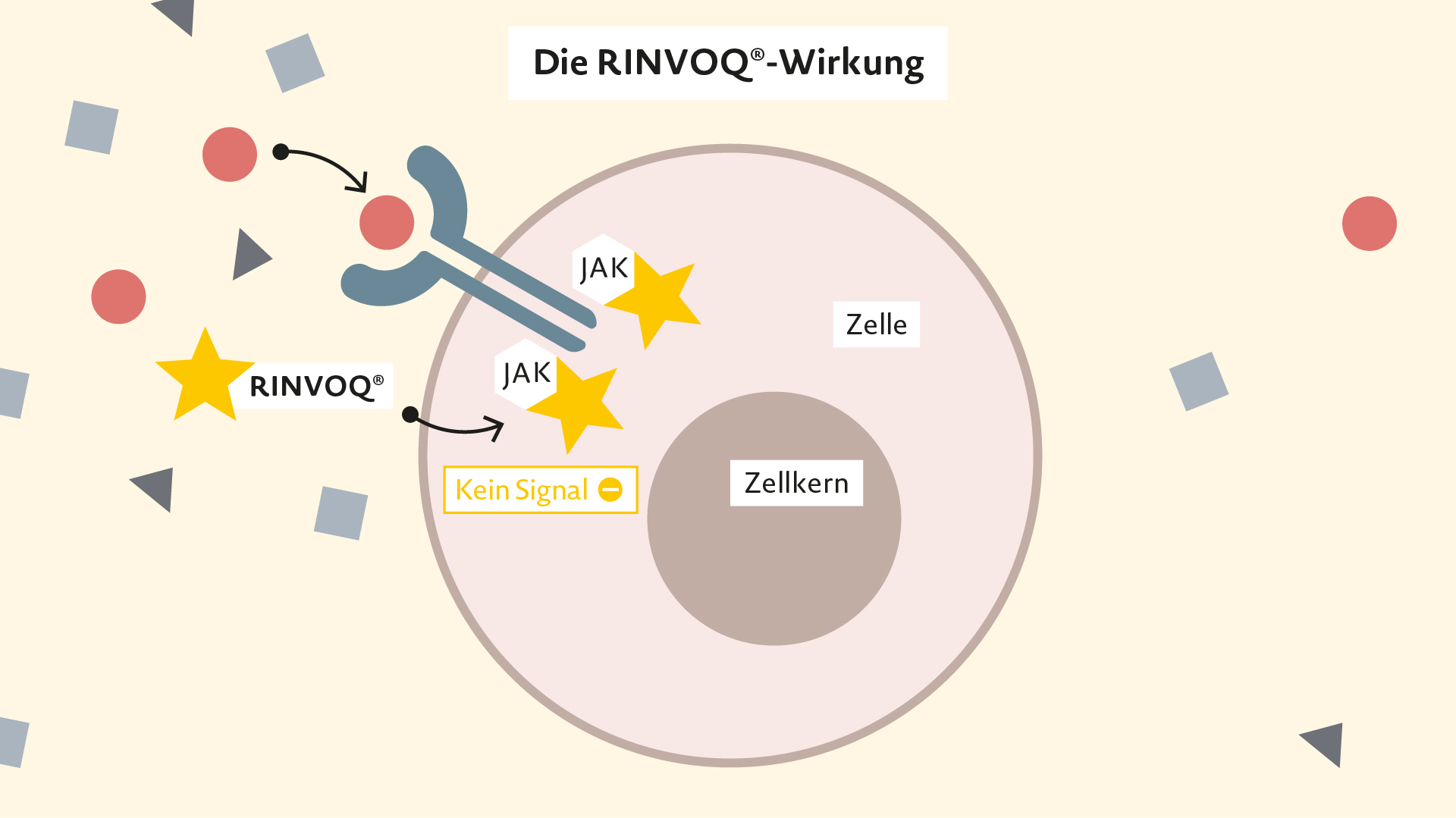 Rinvoq Wirkweise bei Rheumatoider Arthritis