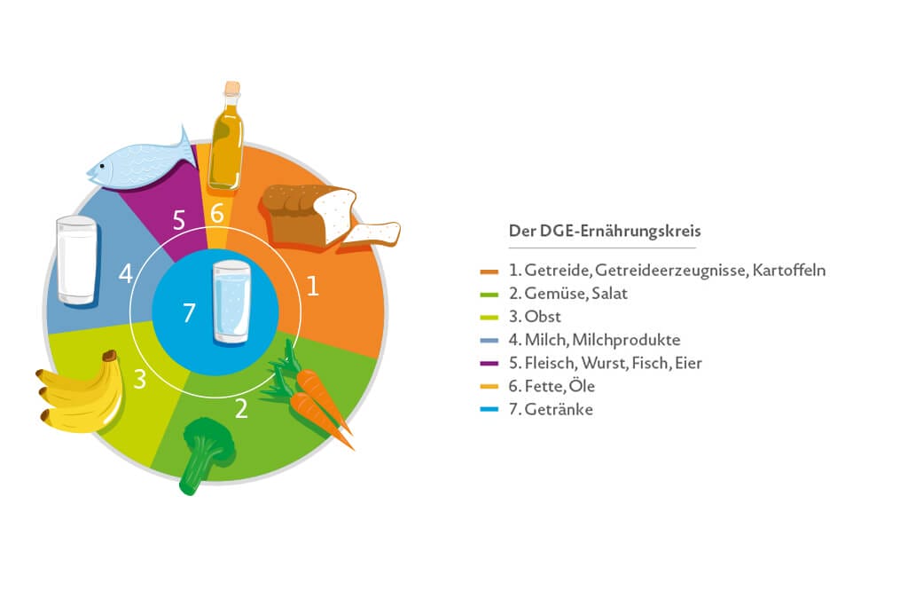 DGE-Ernährungskreis