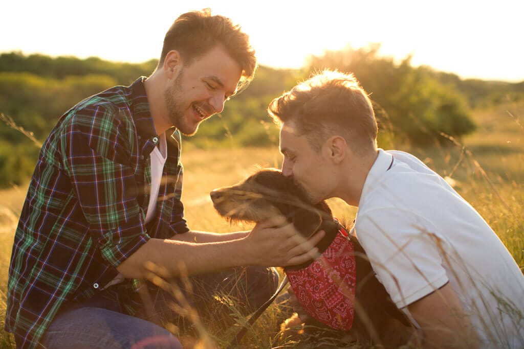 Zwei Männer sitzen gemeinsam mit Ihrem Hund auf einer Wiese beim Sonnenuntergang