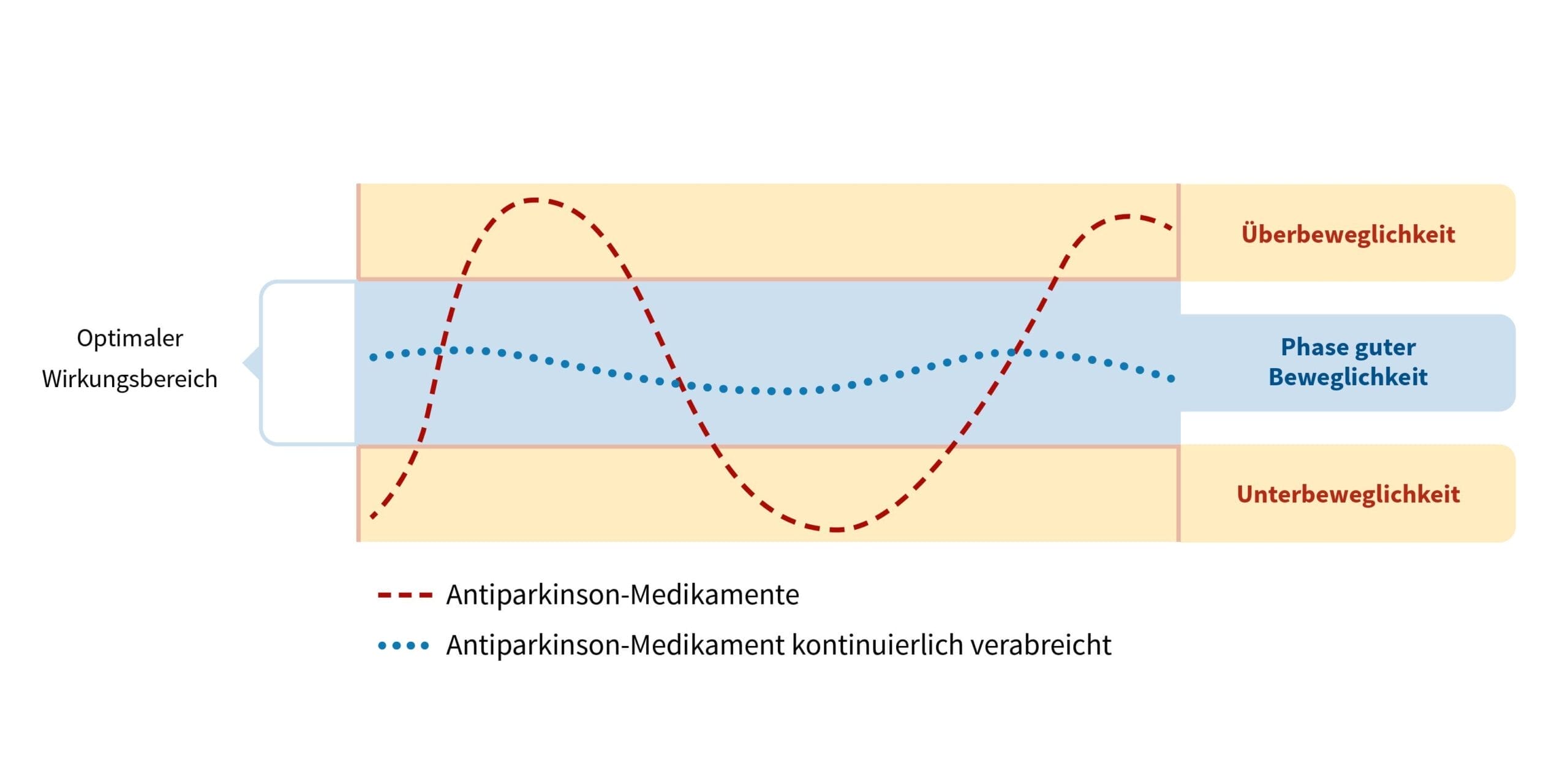 Therapeutisches Fenster