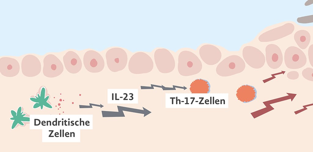 Notsignal der Hautzellen