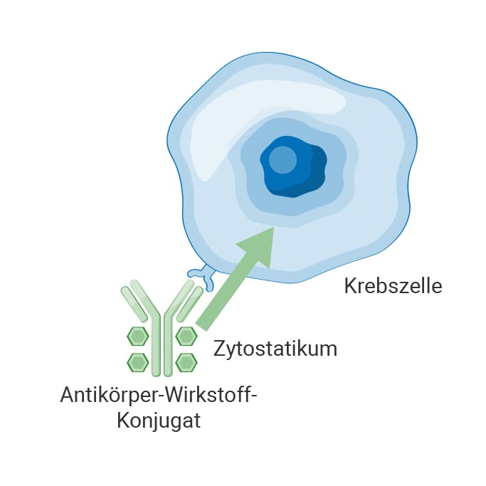 rafik eines Antikörper-Wirkstoff-Konjugat