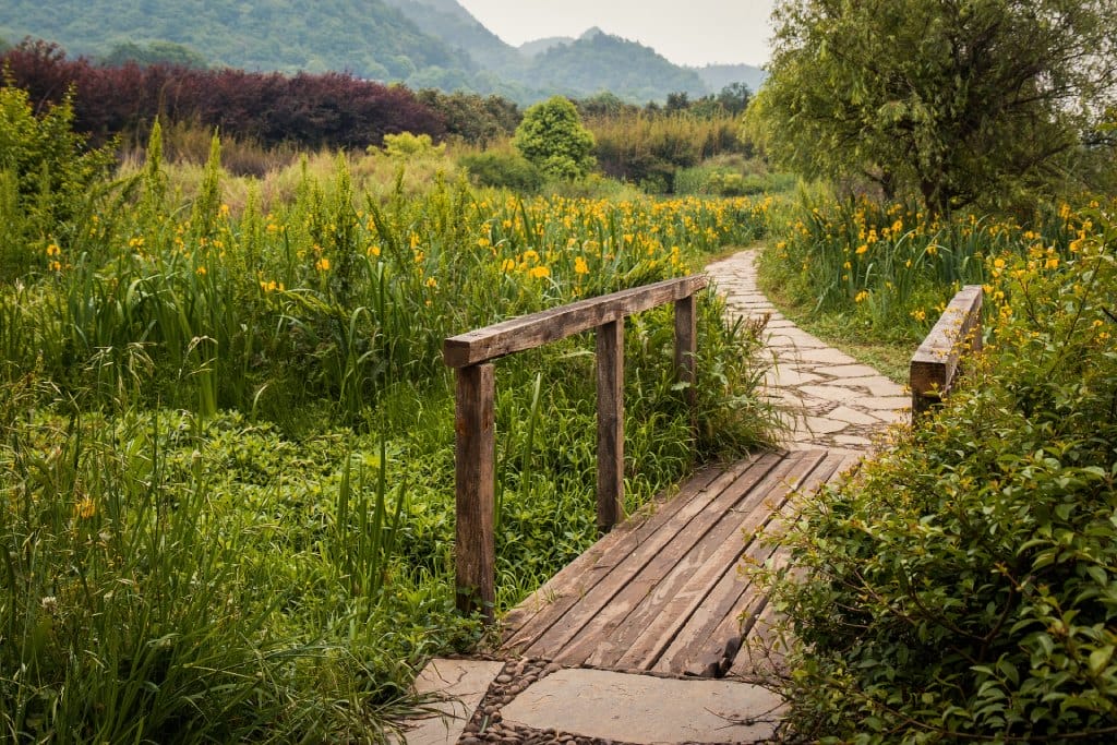 Eine Holzbrücke die über einen kleinen Bach führt